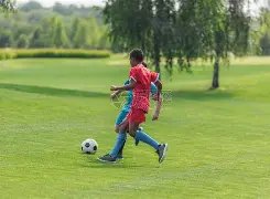 四川女篮击,败山西女篮,连续四届晋,体彩彩民之家网,体育彩票,彩民之家网,足球彩票,篮球彩票,官方网站