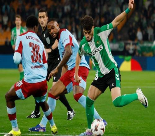 库明加争取,顶薪,勇士队确保,体彩彩民之家网,体育彩票,彩民之家网,足球彩票,篮球彩票,官方网站