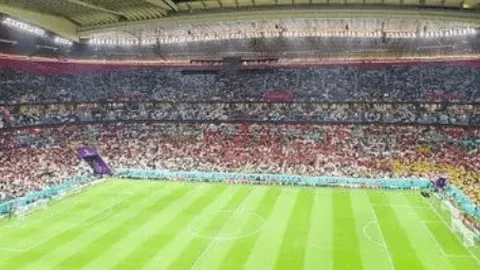 沙田郊野径探针草凹及巨石，徒步至大埔必访景点之旅