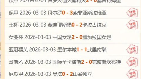 新疆国际赛事训练营汇聚，友谊与竞技同辉