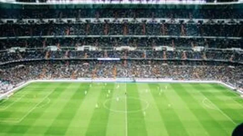 广州市蒋光鼐纪念小学：校园足球篮球共燃活力